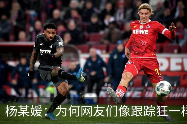 杨某媛：为何网友们像跟踪狂一样盯着她？